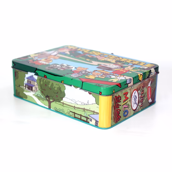 Petit couvercle rectangulaire à charnière en métal, boîte à cosmétiques et cosmétiques, belle boîte à déjeuner avec poignée pour enfants